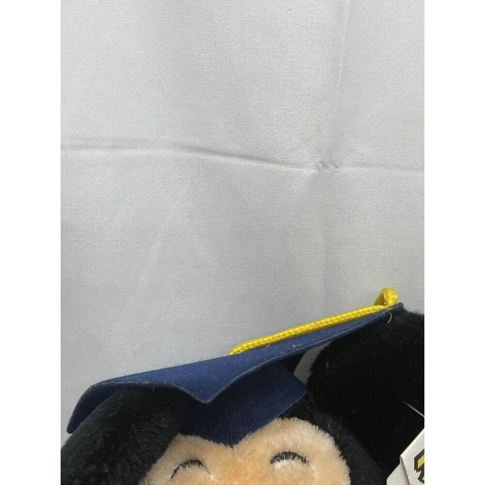 Disney mickey mouse